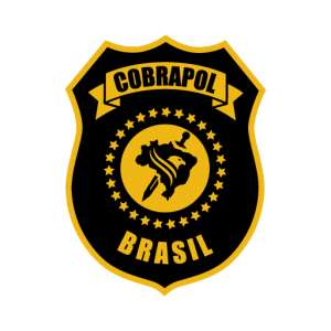 Policiais Civis no Brasil: houve avanços, mas há outras batalhas a serem  vencidas - COBRAPOL